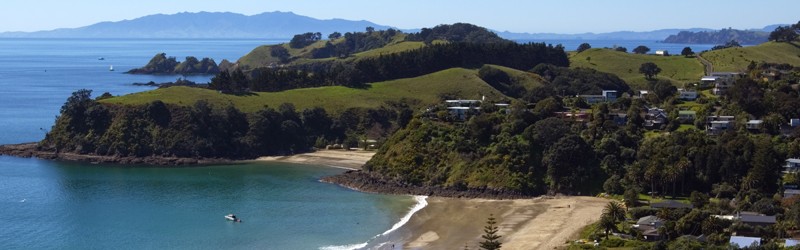 A Waiheke summer day A Waiheke summer day